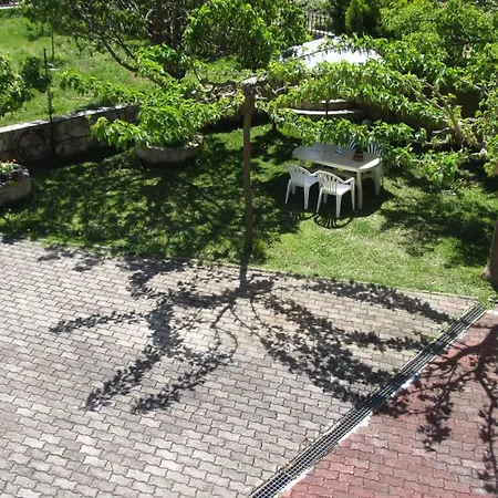 Nightflower 3* 萨米